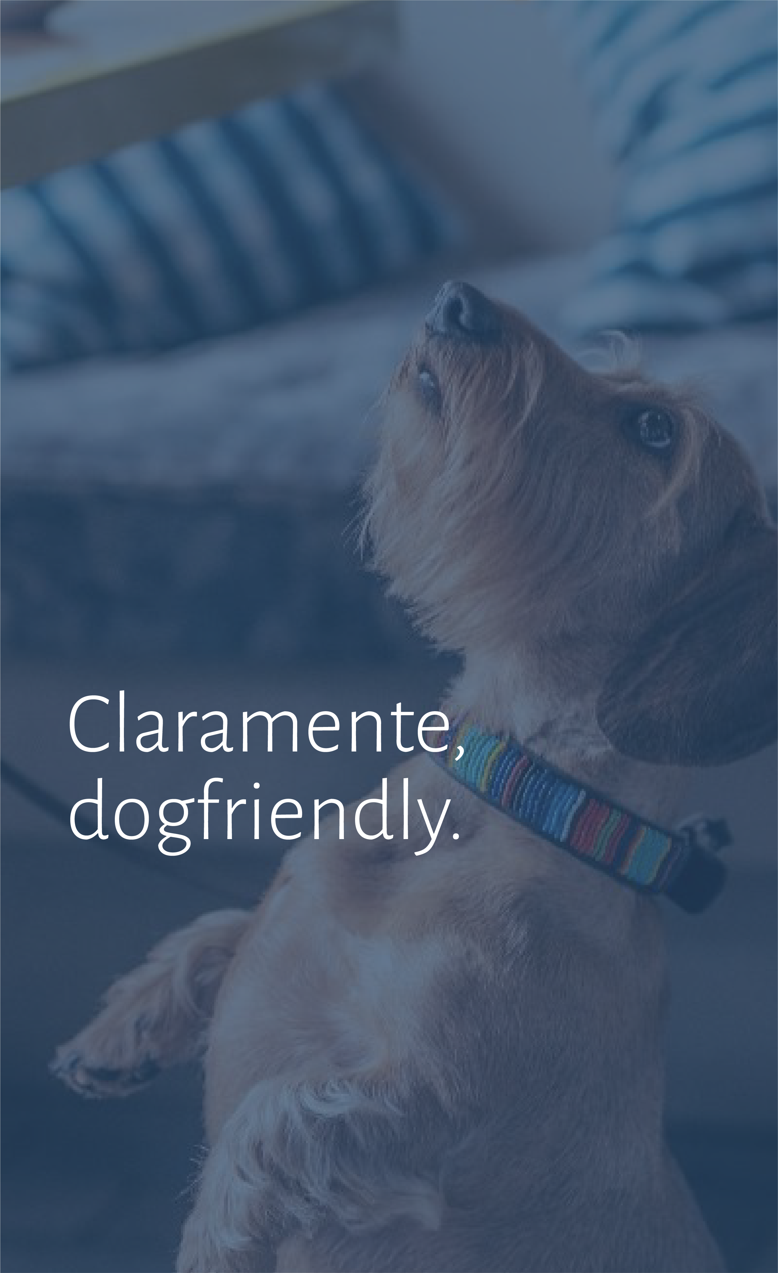 Dogfriendly