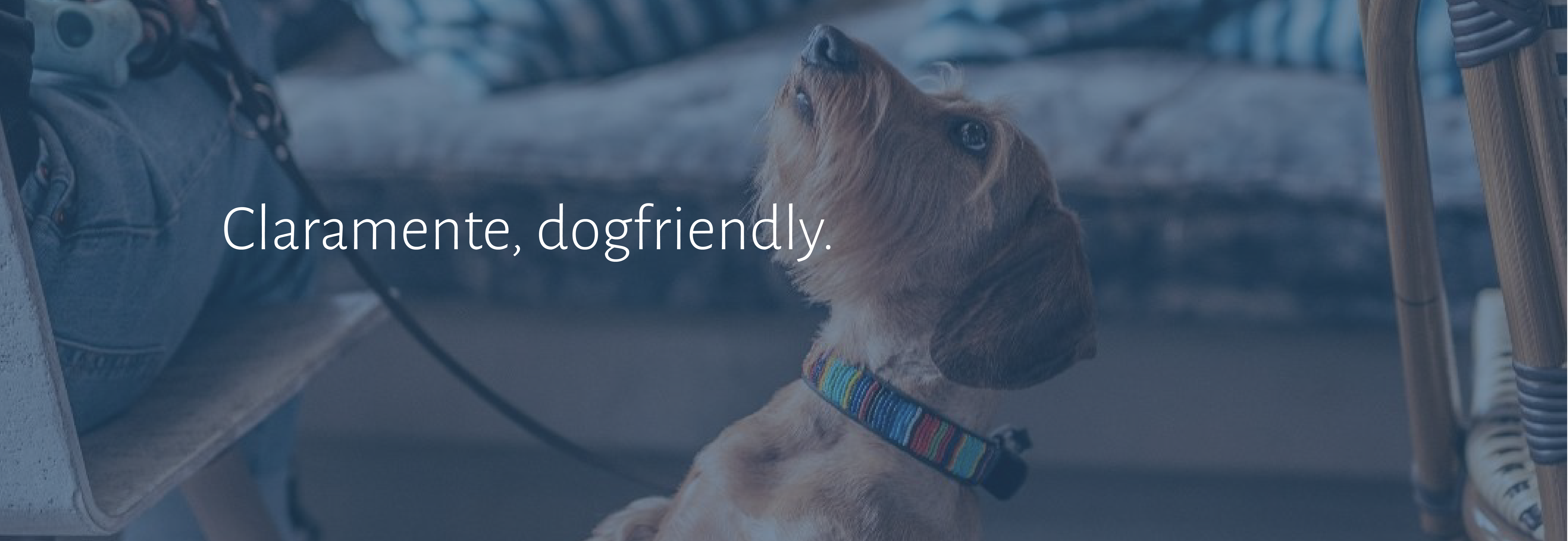 Dogfriendly